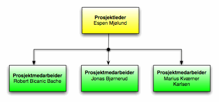 Description: Prosjektorganisering-diagram